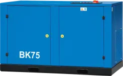 Винтовой компрессор Remeza ВК40-2 ВС